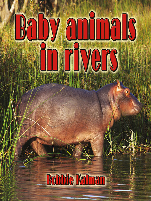 Upplýsingar um Baby animals in rivers eftir Bobbie Kalman - Biðlisti